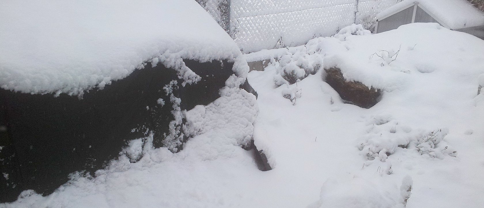 Überwinterrung von Landschildkröten im Frühbeet
