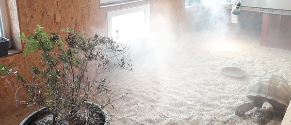 Innenansicht Spornschildkrötenhaus