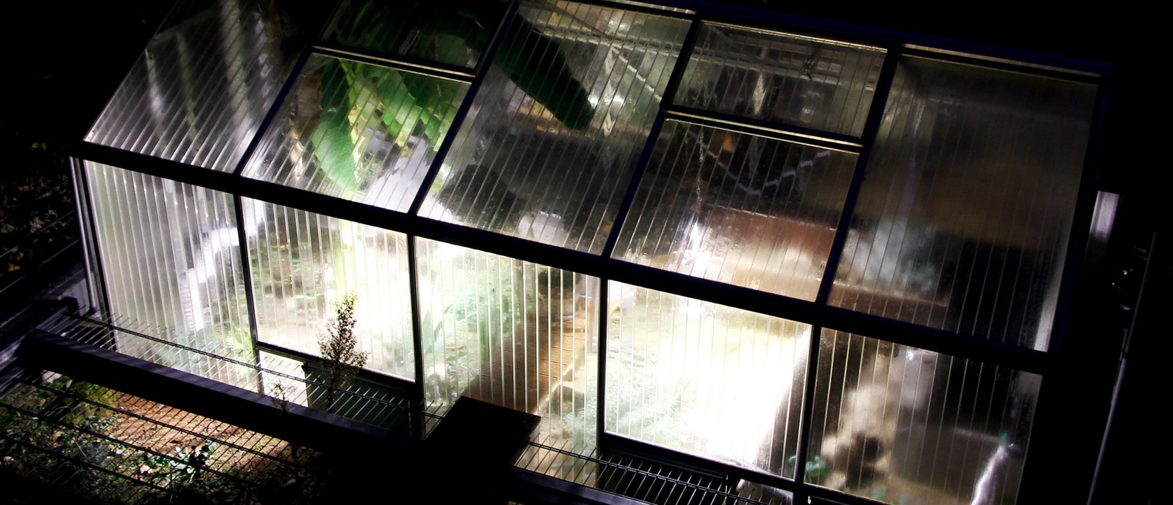 Beleuchtetes Gewächshaus bei Nacht